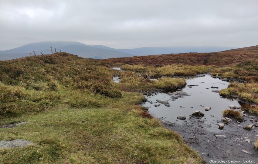 Кто-то к людям, кто-то от них