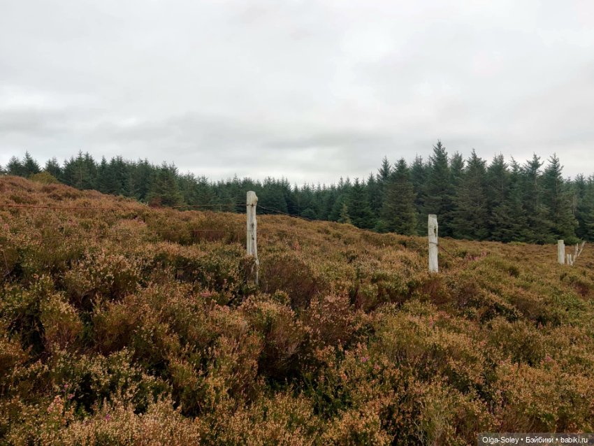 Кто-то к людям, кто-то от них