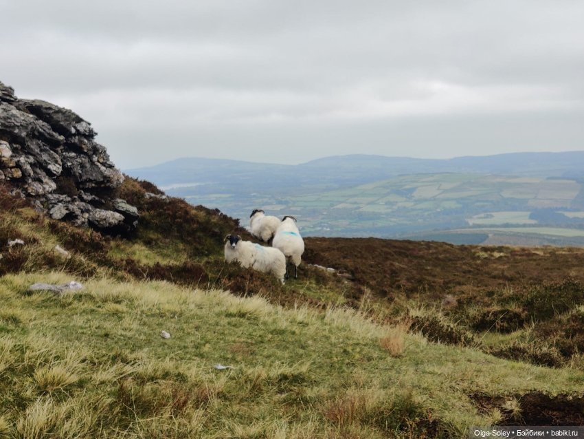 Кто-то к людям, кто-то от них
