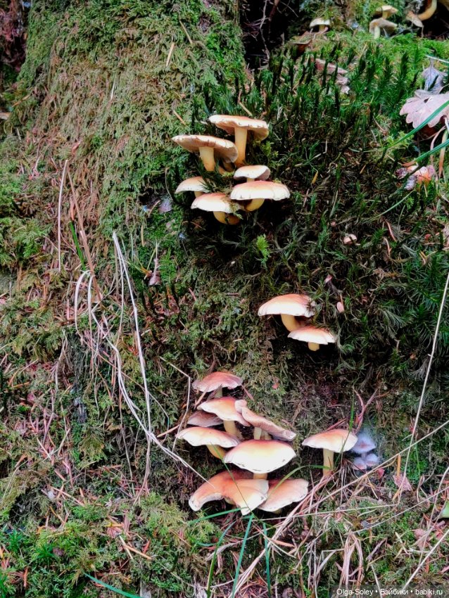 Кто-то к людям, кто-то от них