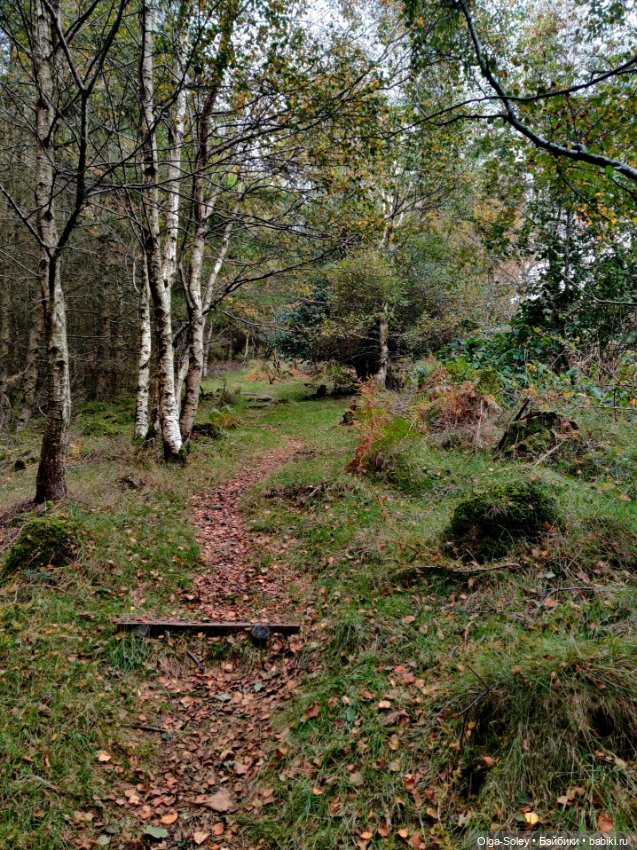 Кто-то к людям, кто-то от них