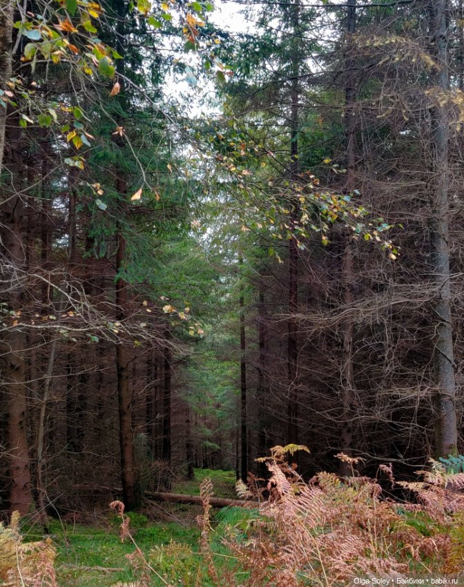 Кто-то к людям, кто-то от них