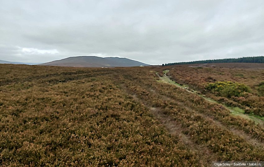 Кто-то к людям, кто-то от них