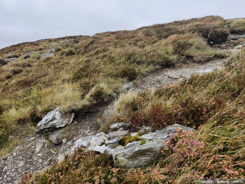 Кто-то к людям, кто-то от них