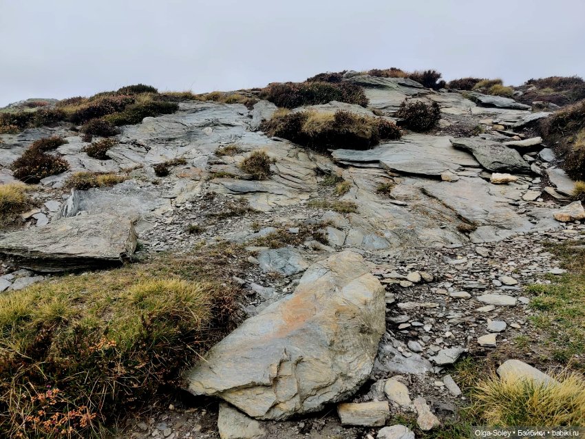 Кто-то к людям, кто-то от них