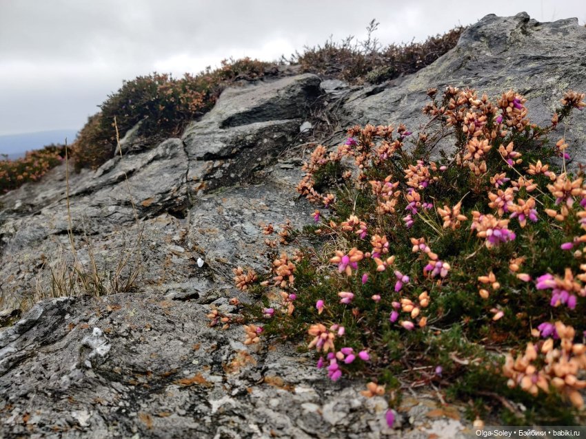 Кто-то к людям, кто-то от них