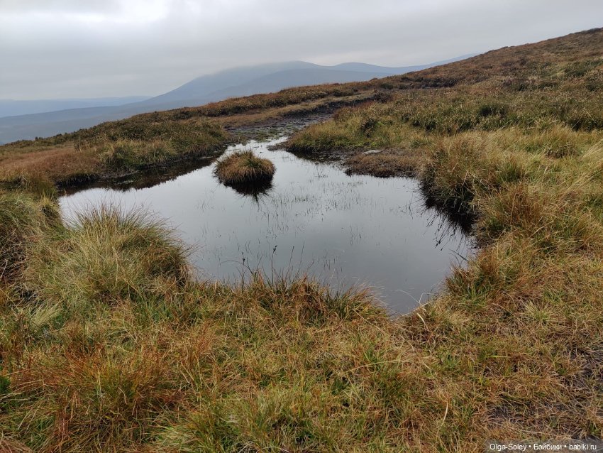 Кто-то к людям, кто-то от них (фото 9)