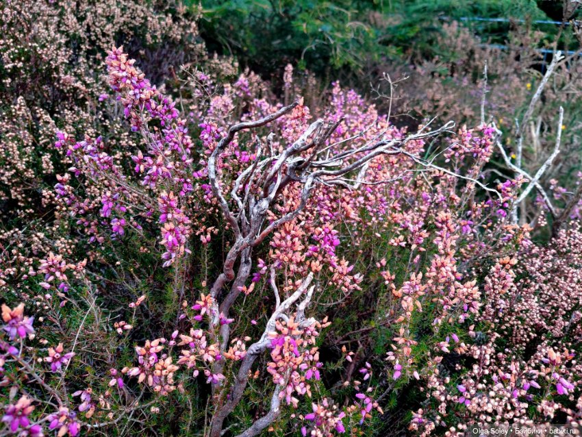 Кто-то к людям, кто-то от них