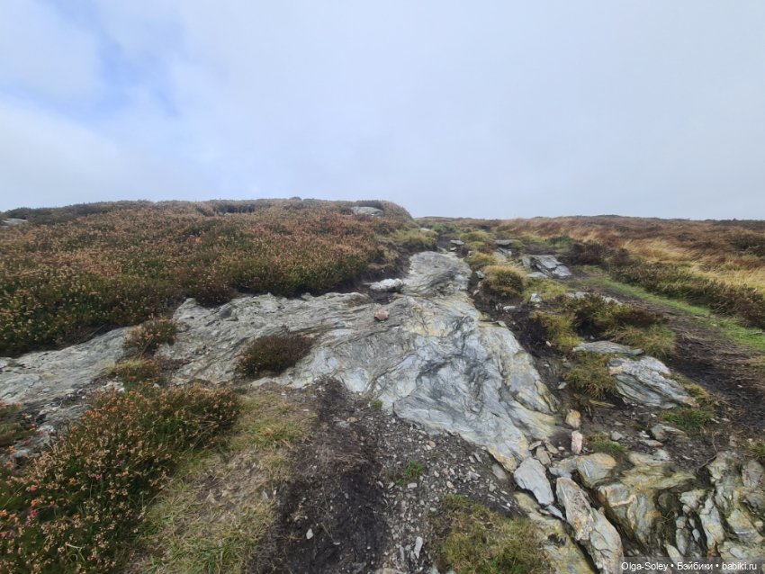 Кто-то к людям, кто-то от них