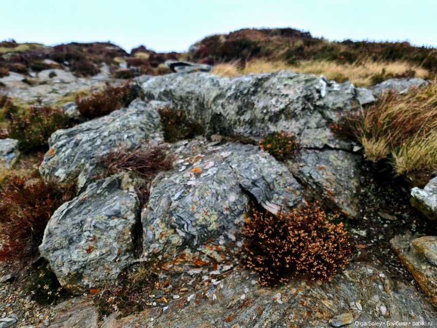 Кто-то к людям, кто-то от них