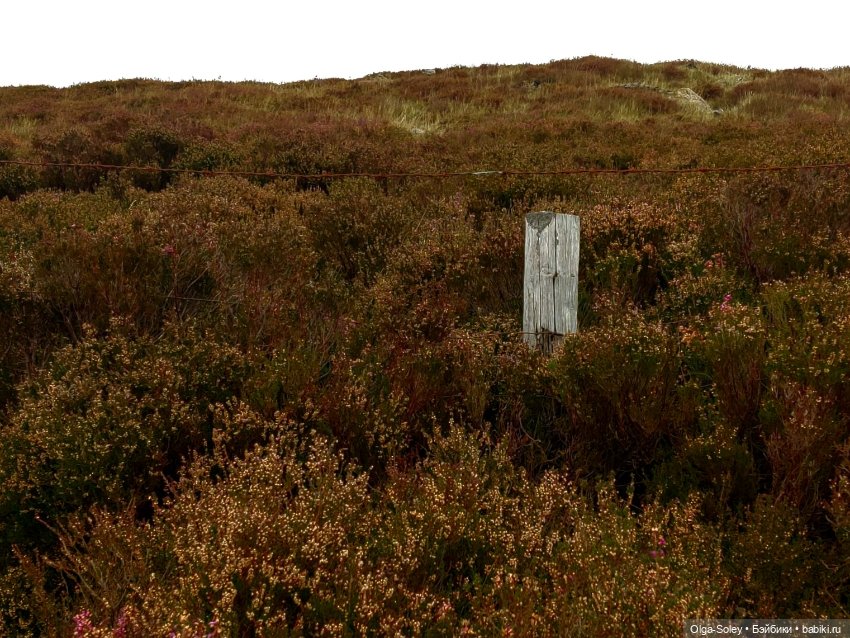 Кто-то к людям, кто-то от них