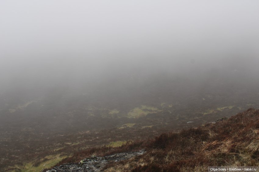 Кто-то к людям, кто-то от них