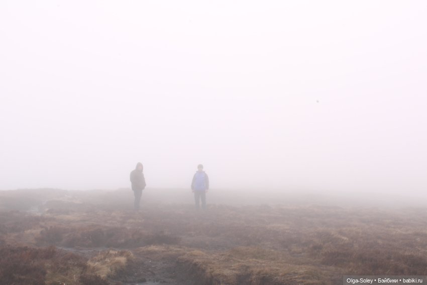 Кто-то к людям, кто-то от них