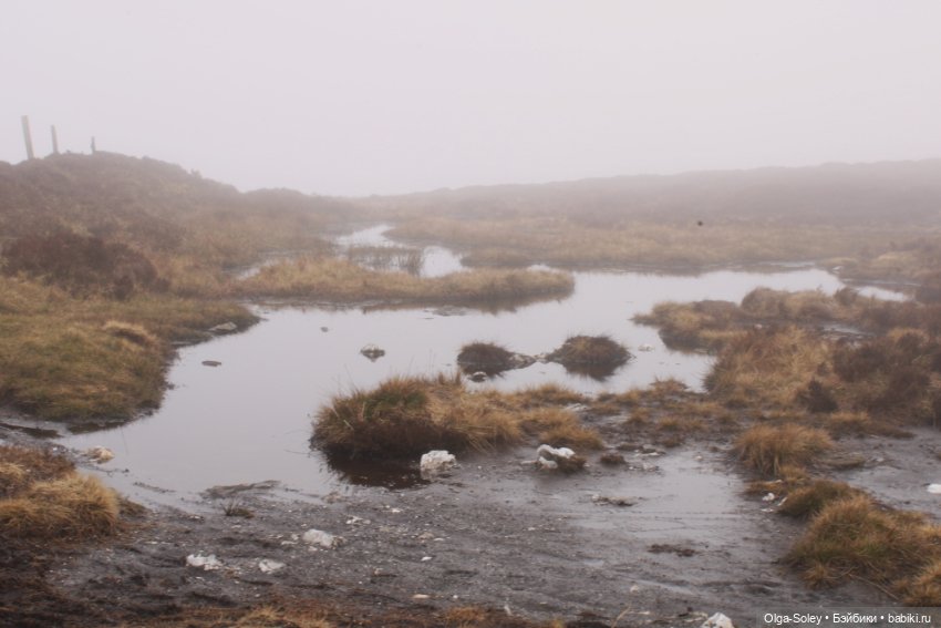 Кто-то к людям, кто-то от них