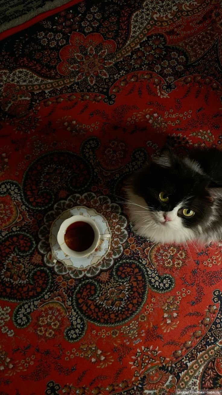 Кофейное настроение в цветах октября