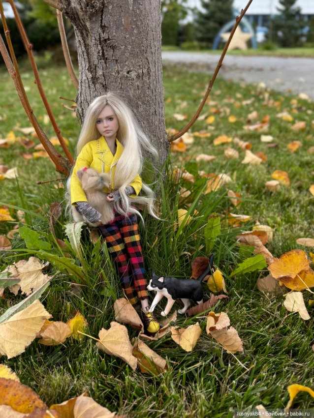 Осенние фото 🍂 — Куклы Tender Creation (Анна Добрякова): российские BJD (БЖД) (фото 3)