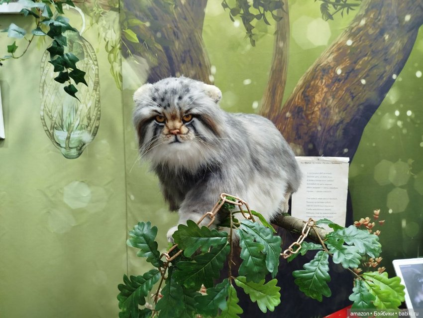 Выставка "живых" кукол в Гостином Дворе, 2025 (фото 7)