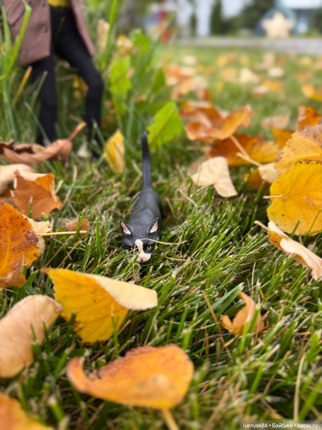 Осенние фото🍂 #3 — Куклы Tender Creation (Анна Добрякова): российские BJD (БЖД) (фото 5)