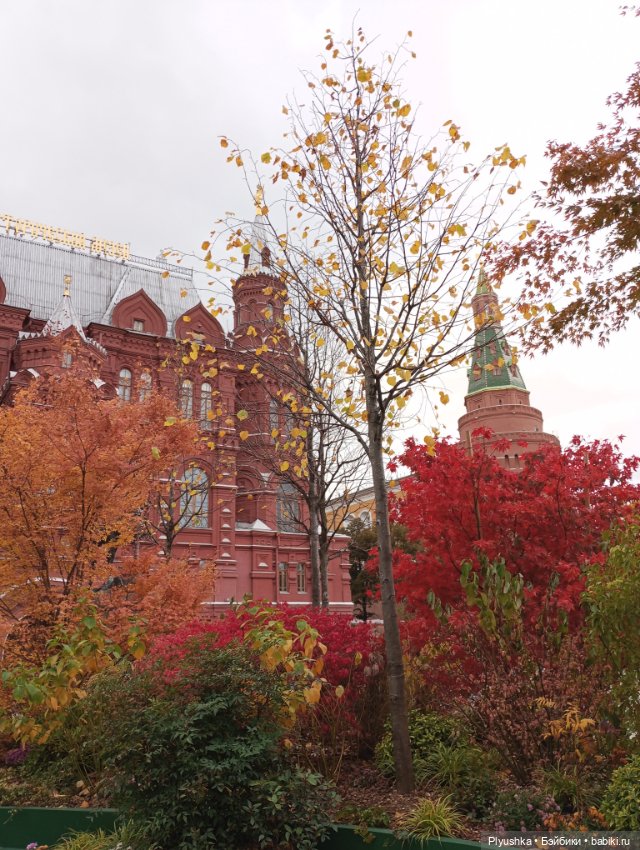 Осенняя Марта — Домашние фото авторских кукол: личные коллекции