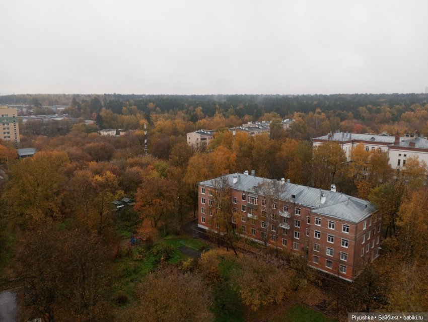 Осенняя Марта — Домашние фото авторских кукол: личные коллекции (фото 6)