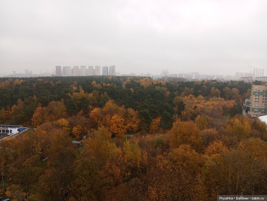 Осенняя Марта — Домашние фото авторских кукол: личные коллекции (фото 3)