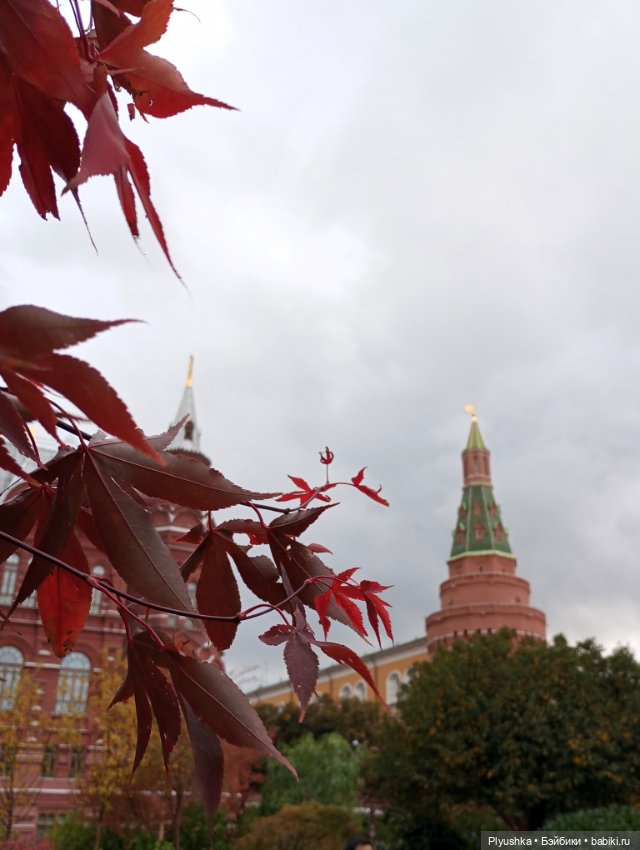 Осенняя Марта — Домашние фото авторских кукол: личные коллекции