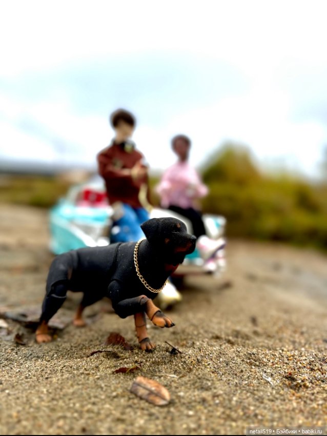 Зарисовка знакомства DS Doll (фото 9)