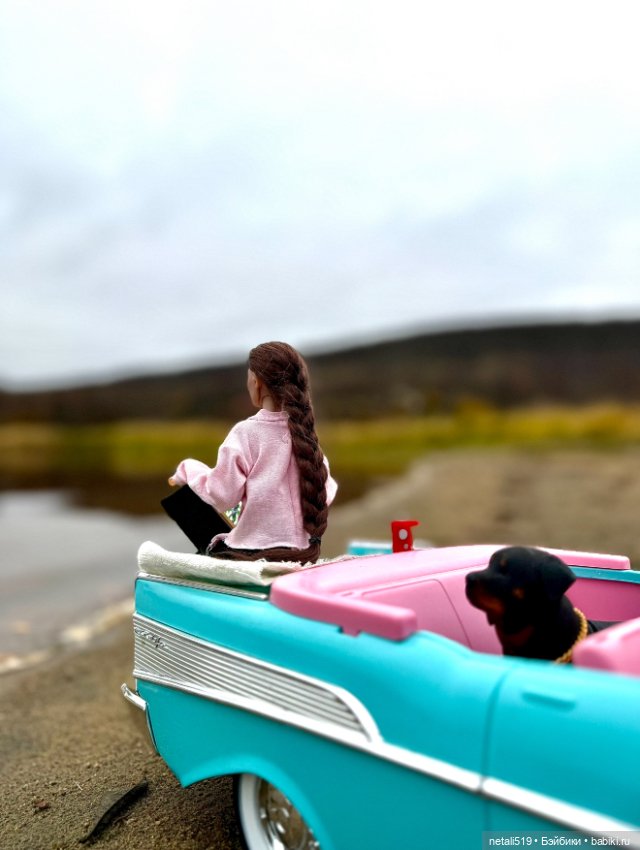 Зарисовка знакомства DS Doll