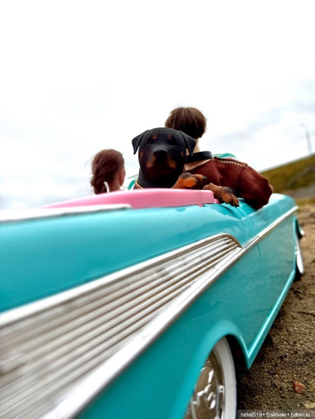 Зарисовка знакомства DS Doll