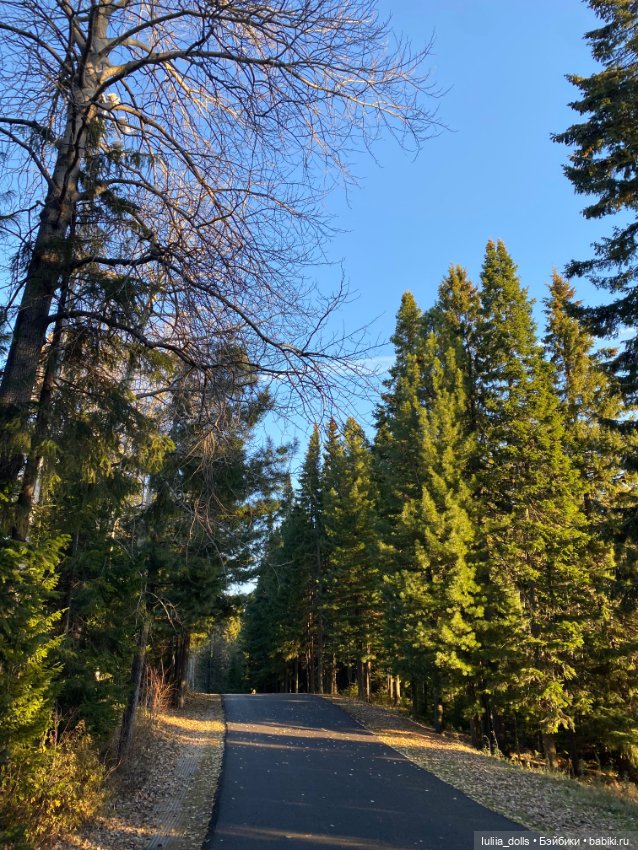 Осенняя прогулка — Домашние фото авторских кукол: личные коллекции (фото 8)