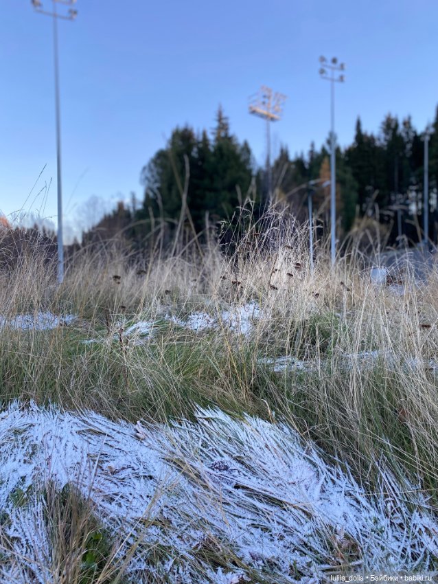 Осенняя прогулка — Домашние фото авторских кукол: личные коллекции (фото 2)