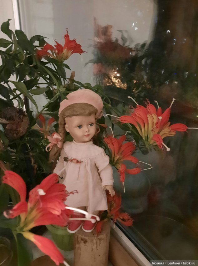 Беллочья лихорадка продолжается (фото 7)