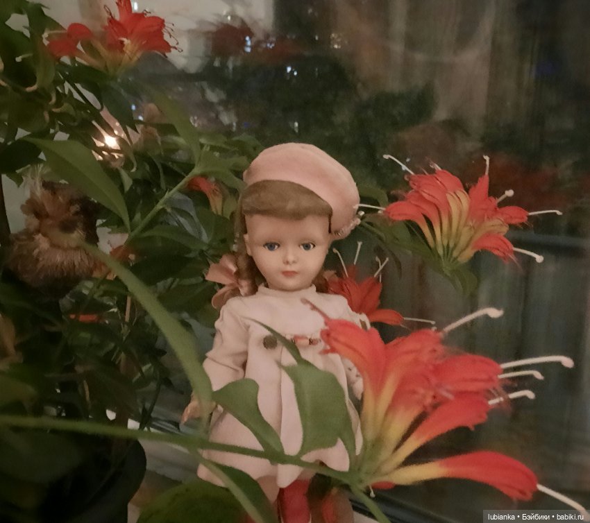 Беллочья лихорадка продолжается (фото 8)