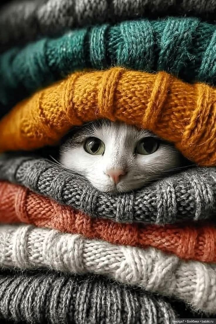 Кофе и Хэллоуин — Культура