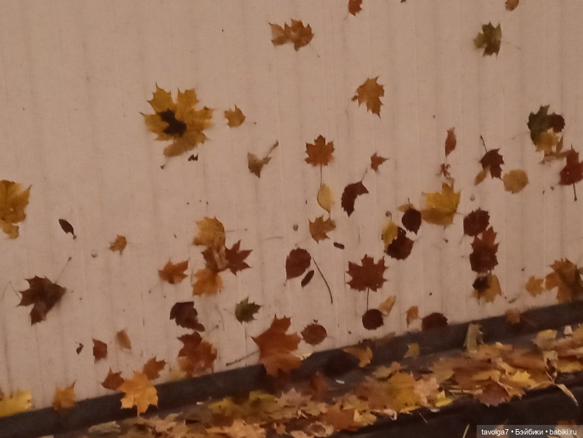 Арина "Огонёк" - эпицентр осени