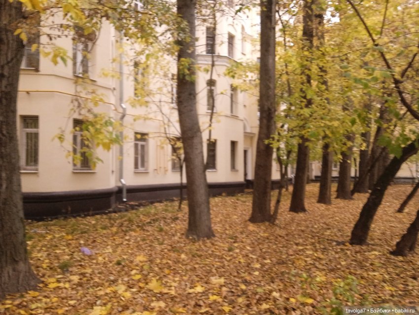 Арина "Огонёк" - эпицентр осени