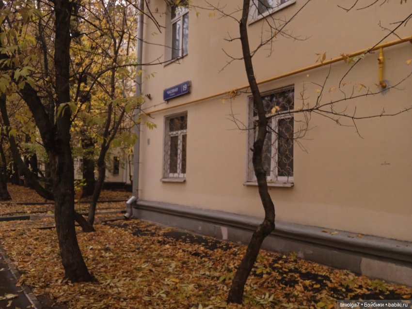 Арина "Огонёк" - эпицентр осени (фото 9)