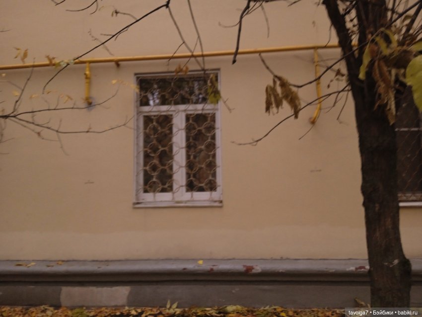 Арина "Огонёк" - эпицентр осени (фото 10)