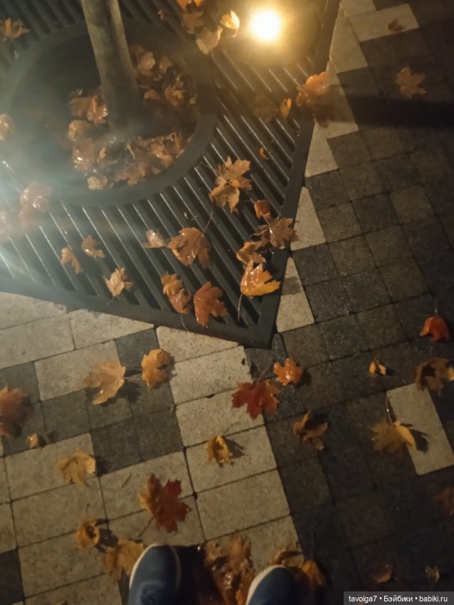 Подмосковный дзен середины осени (фото 9)