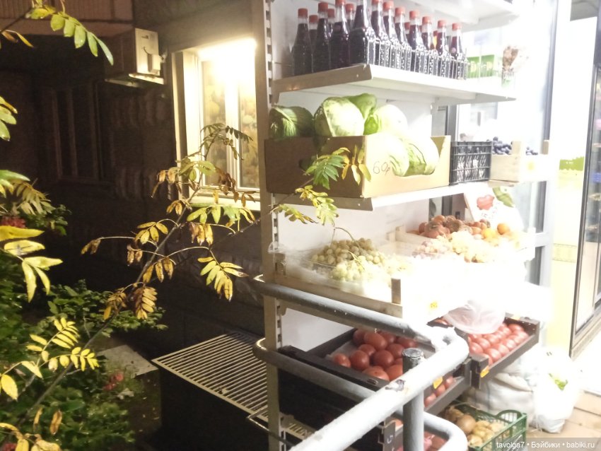 Подмосковный дзен середины осени