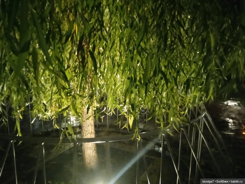 Подмосковный дзен середины осени (фото 6)