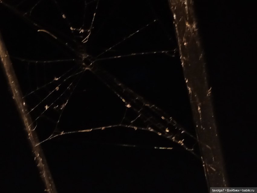 Подмосковный дзен середины осени (фото 7)