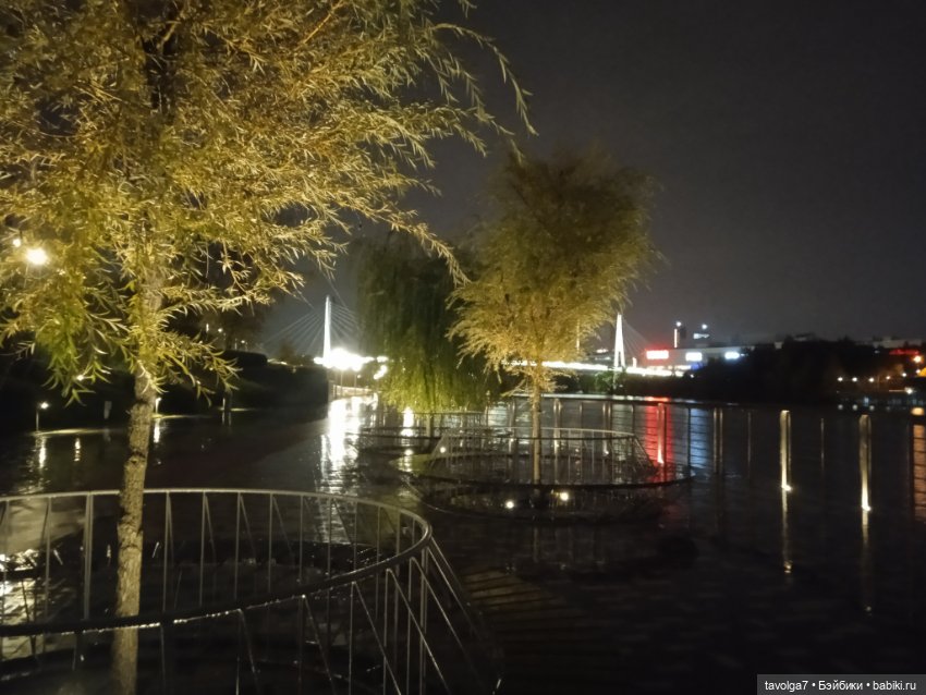 Подмосковный дзен середины осени (фото 3)