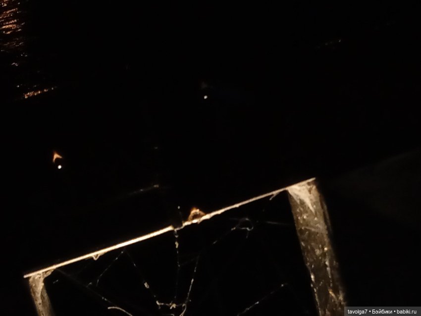 Подмосковный дзен середины осени (фото 8)