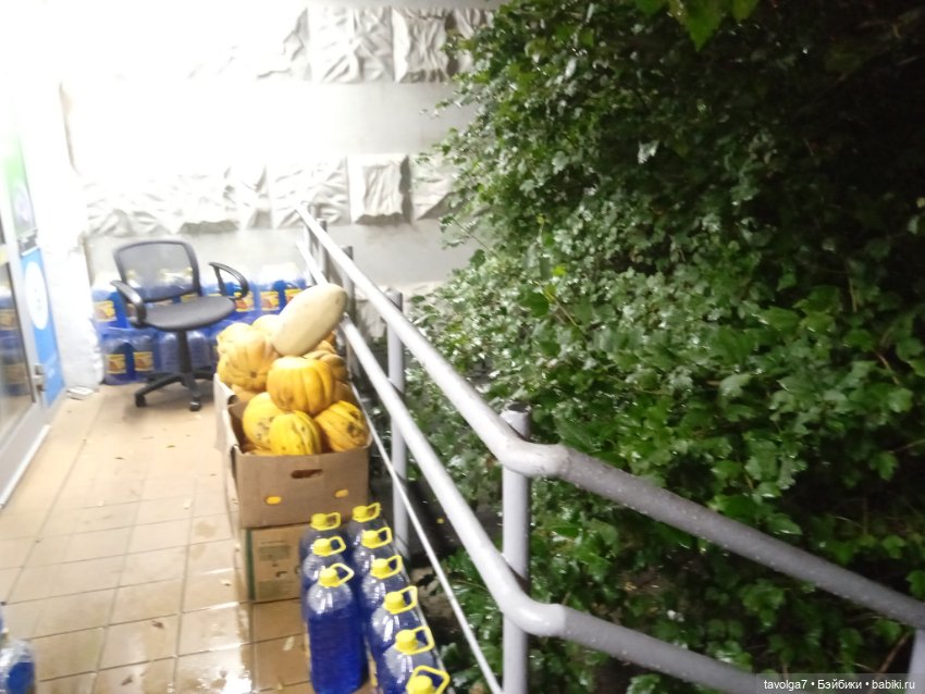 Подмосковный дзен середины осени