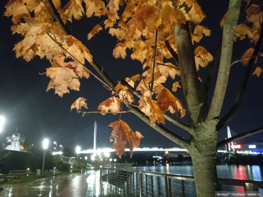 Подмосковный дзен середины осени