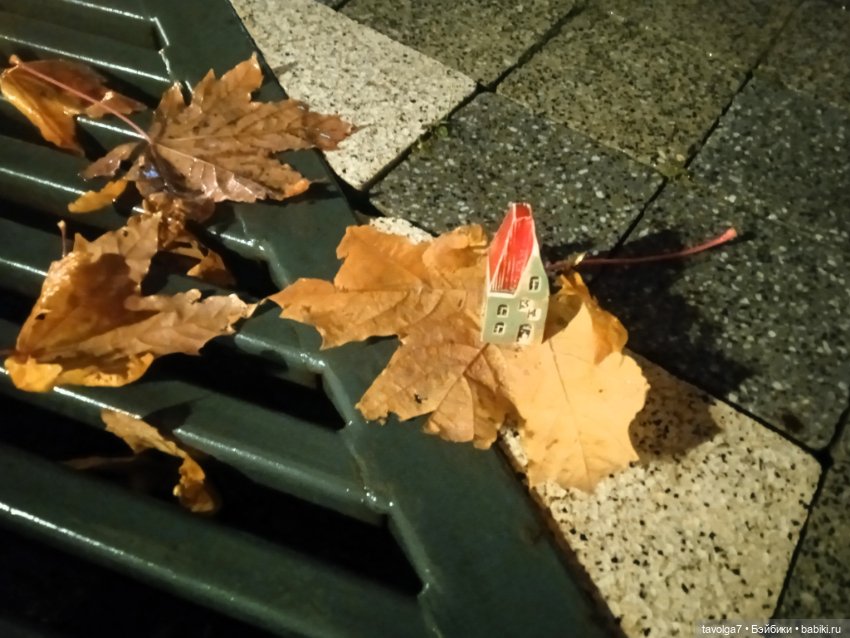 Подмосковный дзен середины осени (фото 10)