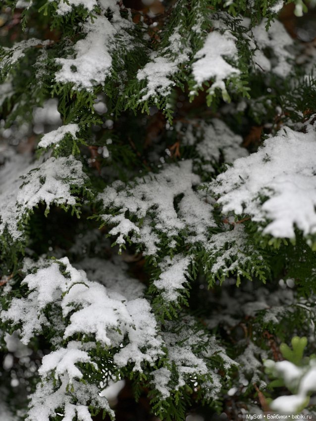 Хочется уюта и тепла — Одежда и обувь для кукол своими руками: фото (фото 5)