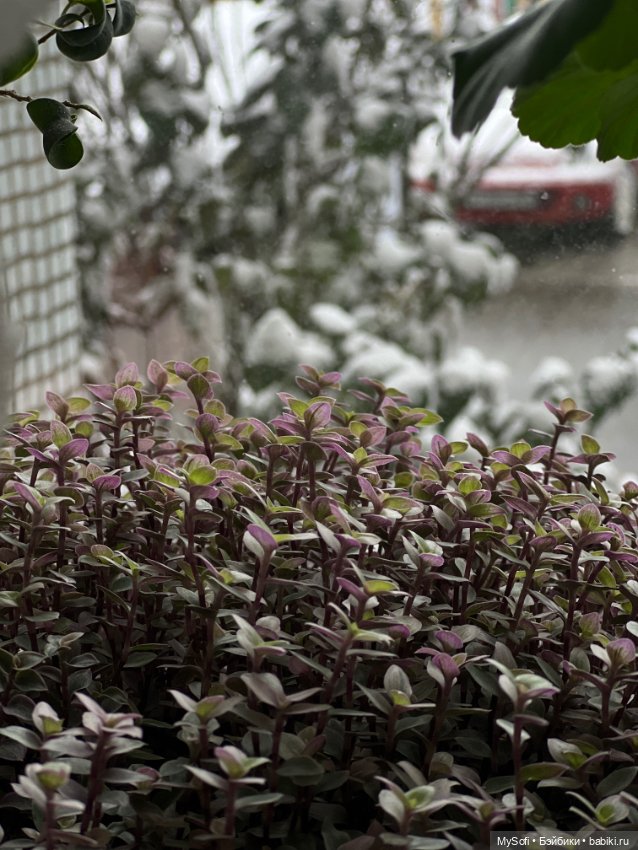 Хочется уюта и тепла — Одежда и обувь для кукол своими руками: фото (фото 6)