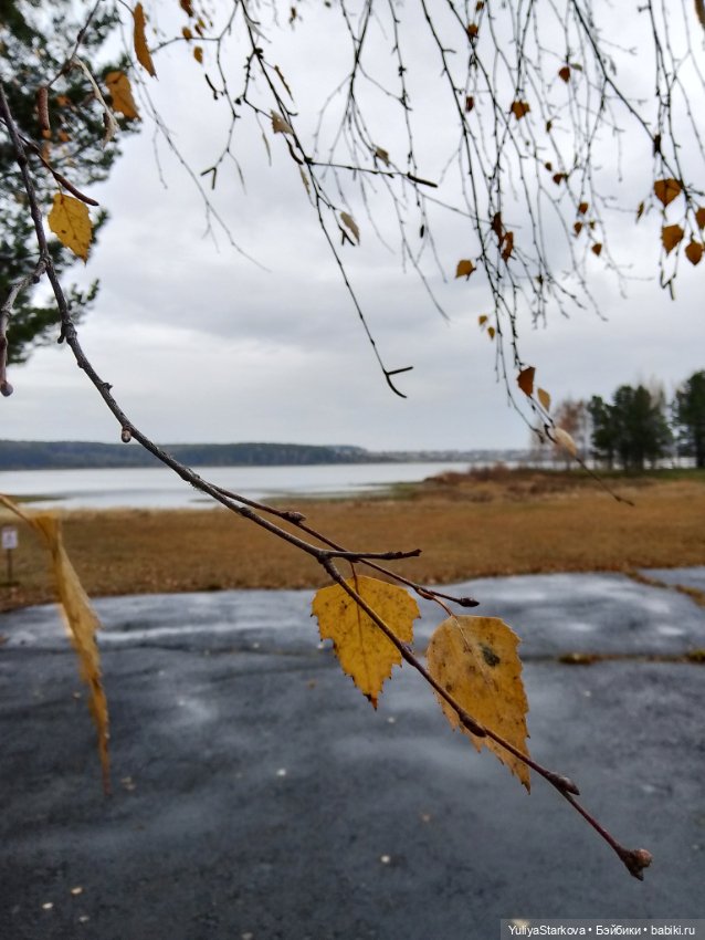 Осенние фото — Куклы Fairyland (ФэйриЛэнд): BJD (БЖД)